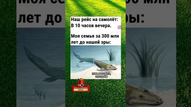 о ма гад жиза