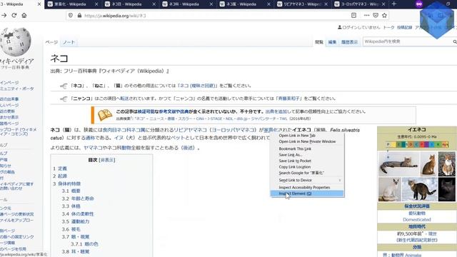 【Python】Use Selenium to open multiple tabs【Firefox】 смотреть онлайн