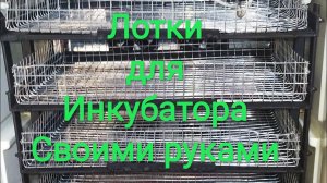 Лотки для инкубатора своими руками
