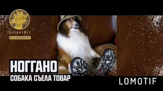 Ноггано собака съела товар смотреть онлайн