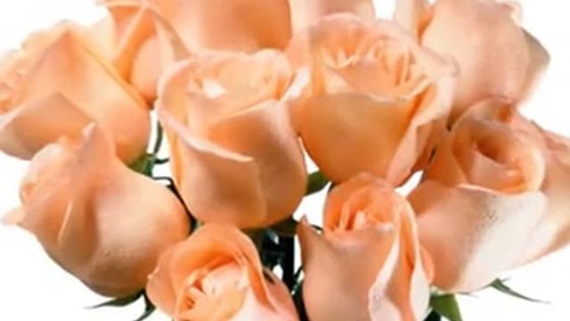 Воробушек! С днём рождения!!!