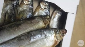 Сырок вяленый