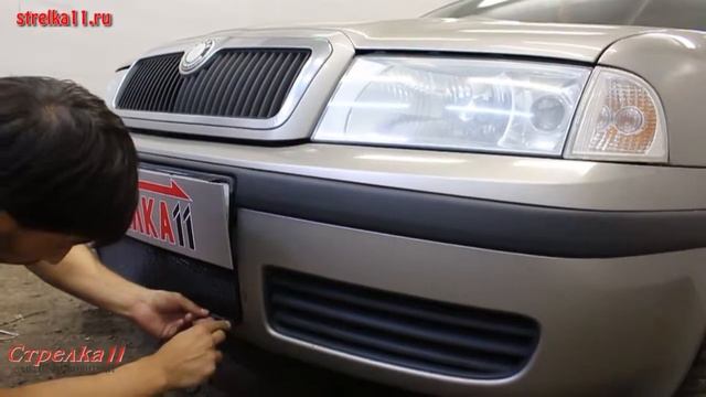 Защита радиатора SKODA OCTAVIA I рестайлинг 2000-2010г.в. (Черный) - strelka11.ru смотреть онлайн