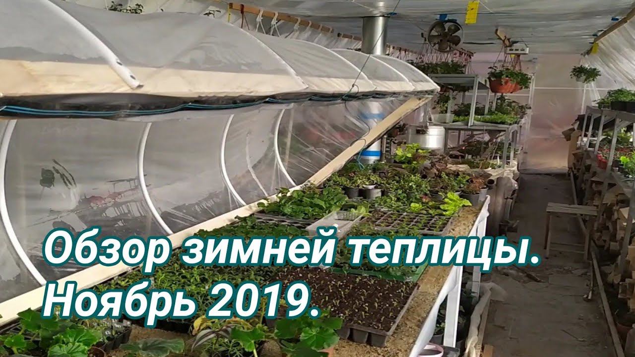 Обзор зимней теплицы. Начало ноября 2019. смотреть онлайн