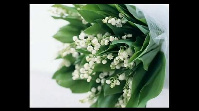 Для Людмилы в День рождения смотреть онлайн