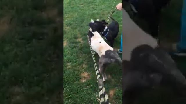 Blade and Titan смотреть онлайн