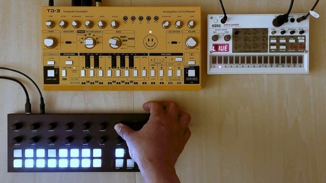 Trying to sequence TD3 using Torso T1//Singing Acid смотреть онлайн