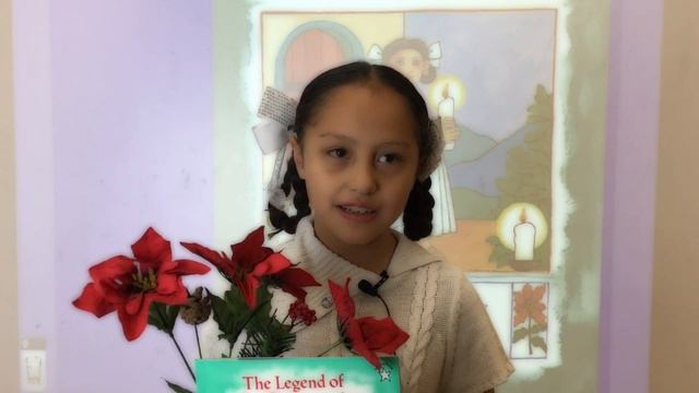 FME - Book of the Month - Legend of the Poinsettia смотреть онлайн