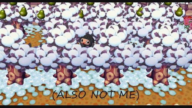 Animal Crossing City Folk: Grass Repair Tips смотреть онлайн