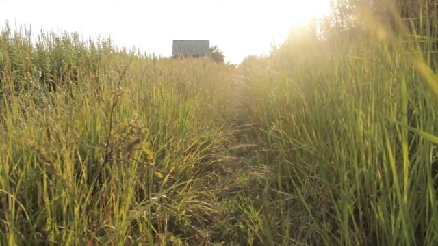 Дача) смотреть онлайн