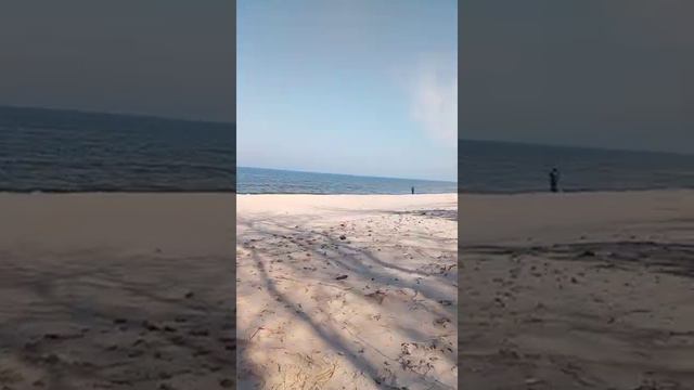 Лосось, кумжа. Отчёты смотреть онлайн