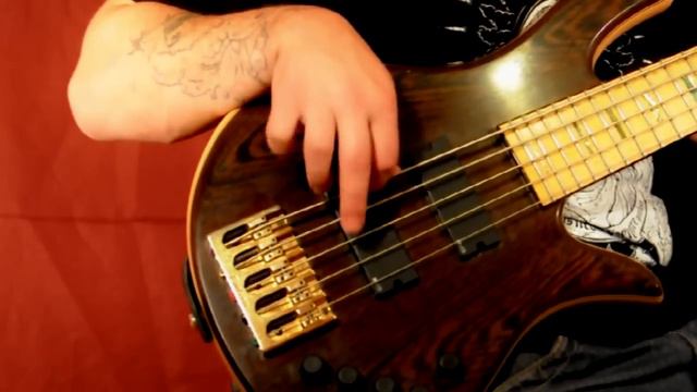 Lamb of God - Laid to Rest Bass Cover (D’Addario EXL165-5 Nickel Wound 45-135 strings test) смотреть онлайн
