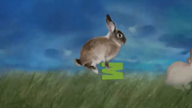 Animal Planet TV Identity смотреть онлайн