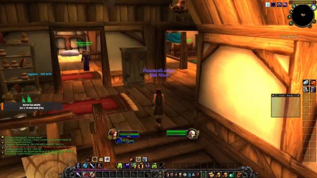 Warlock Hardcore WOW Classic