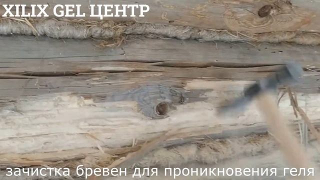 Уничтожение короеда. Препаратом Xilix gel. С гарантией 10 лет. смотреть онлайн