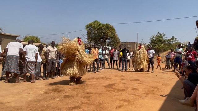 Ритми Африки. Танці народу бауле в червоних масках / Dances of the Baule people in red masks смотреть онлайн