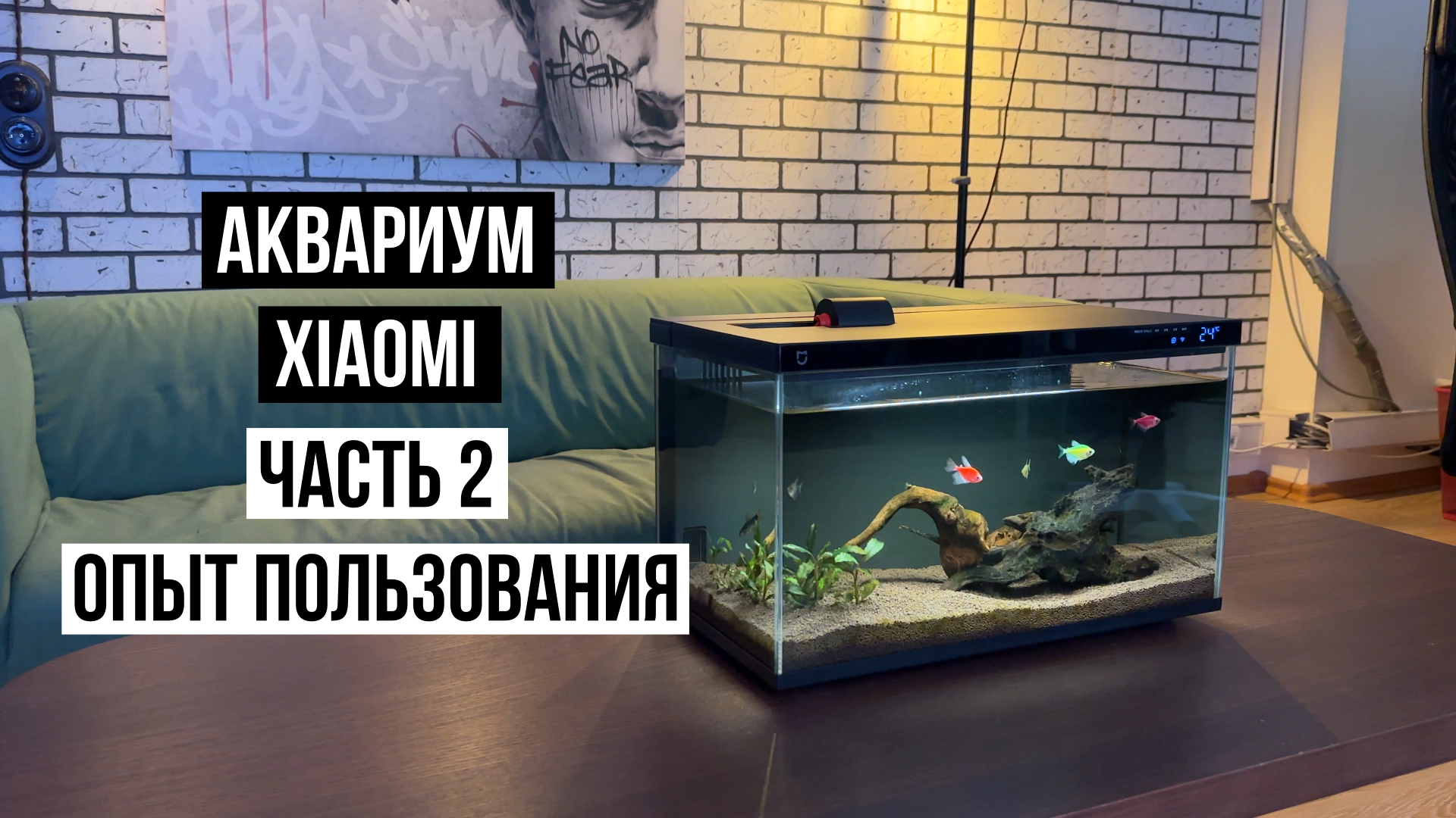 Аквариум Xiaomi Mijia Smart Fish Tank Часть 2 смотреть онлайн