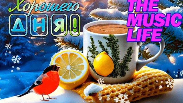 МУЗЫКАЛЬНОЕ ПОЖЕЛАНИЕ. ЗИМА