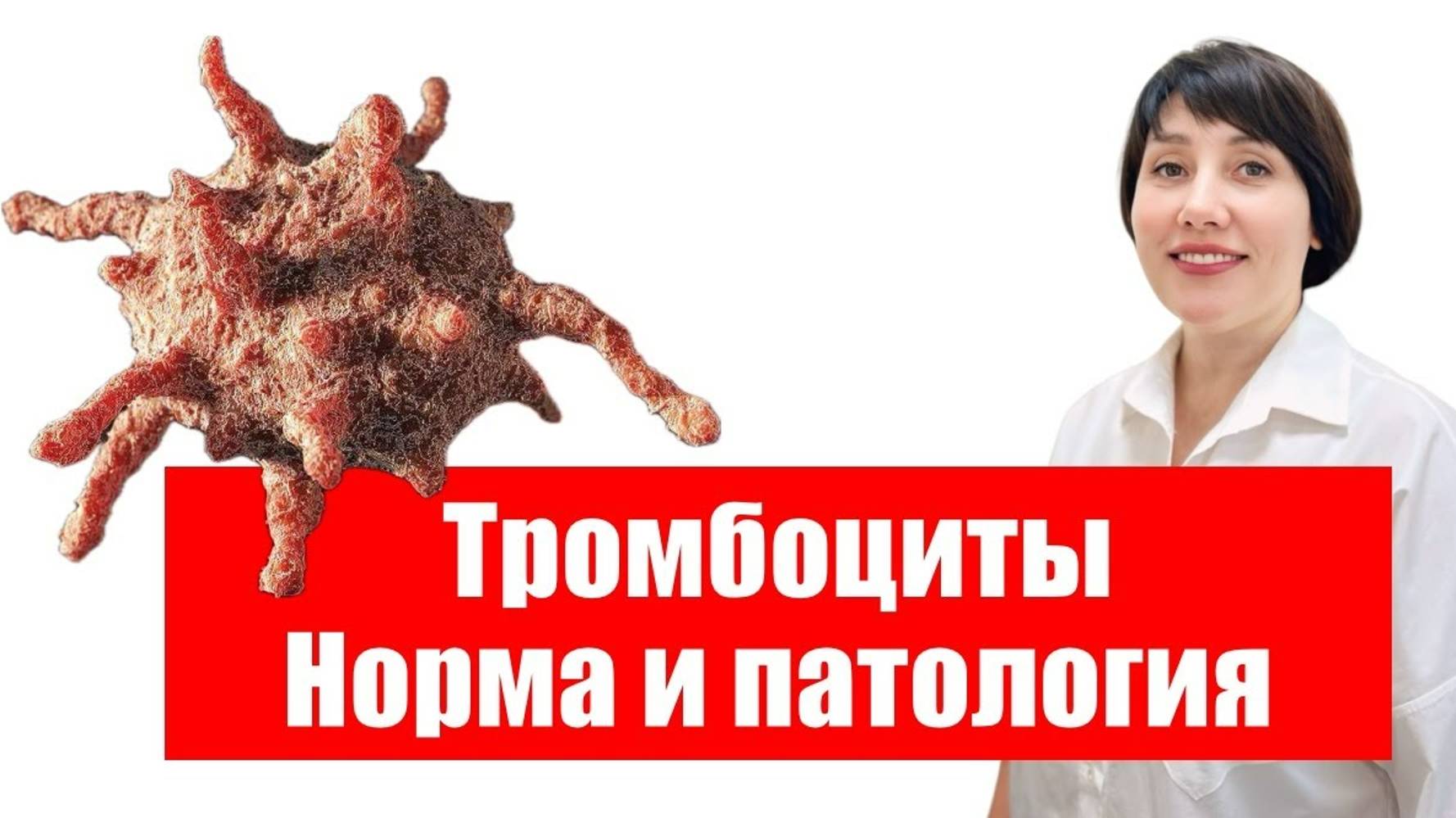 ТРОМБОЦИТЫ. Норма и патология. смотреть онлайн