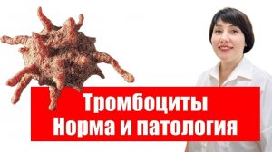 ТРОМБОЦИТЫ. Норма и патология.