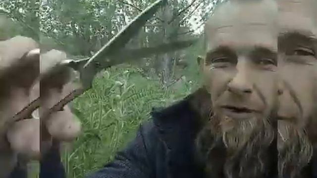 Алтай - Целебный чай. Астрагал смотреть онлайн