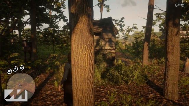 Red Dead Redemption 2: SECRET Witch Easter Egg Location!