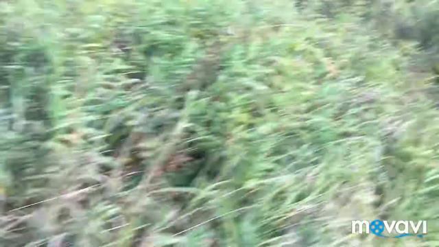 Нашла +3 места там где я живу(читайте в ссылке в описании)!!! смотреть онлайн
