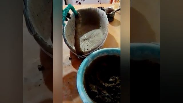 Лебедь из цемента. Подробный МК.