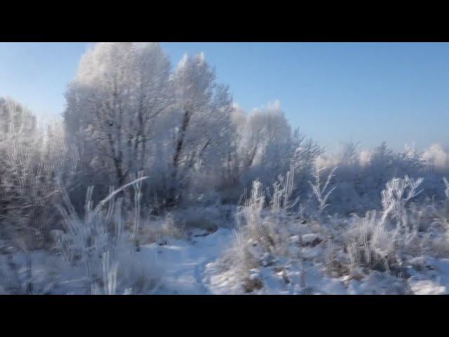 Pagan Reign - Once Again (5 Years Ago)