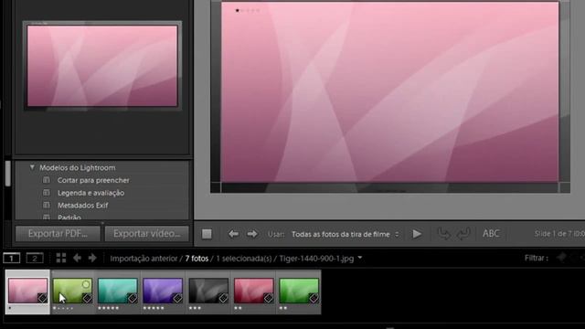 Photoshop Lightroom 3 - Apresentação de slides [PT-2] смотреть онлайн