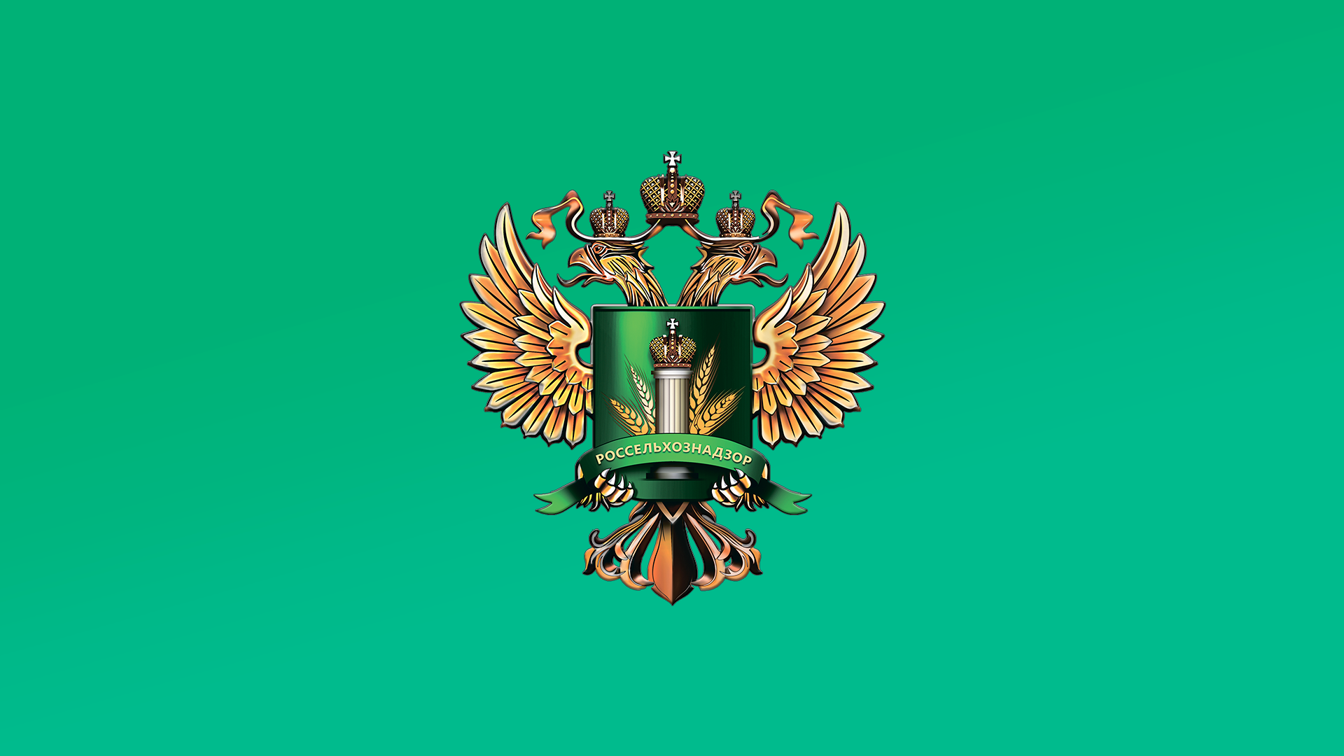 Управление Россельхознадзора провело штабы по МЗК смотреть онлайн