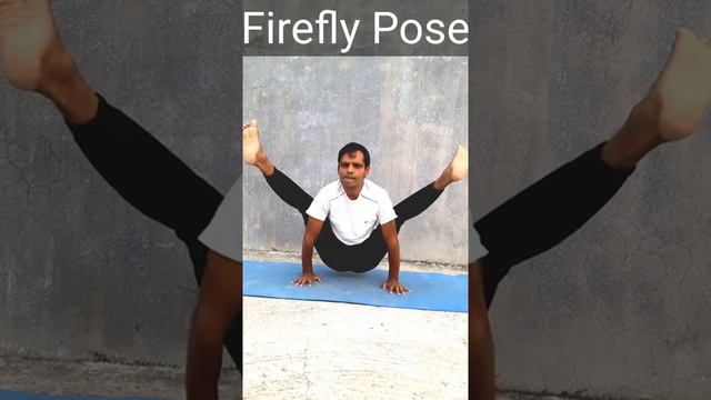 Firefly Pose | Tittibhasana | Advanced Yoga Postures | Yoga And Fitness With Shiva #shorts