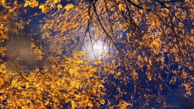 Золотая осень смотреть онлайн