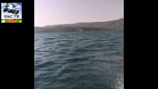Просто. Интересно. Смотрим. Где-то на Чиркейском водохранилище смотреть онлайн