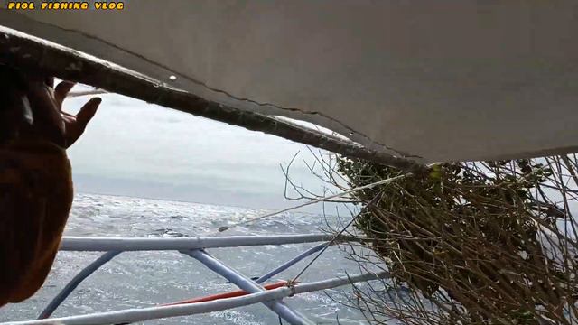 Part 2 Paano mag Arya ng paitlogan ng pusit na ganito kalakas смотреть онлайн