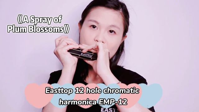 Easttop 12hole aluminum comb harmonica--A spray of plum blossoms смотреть онлайн