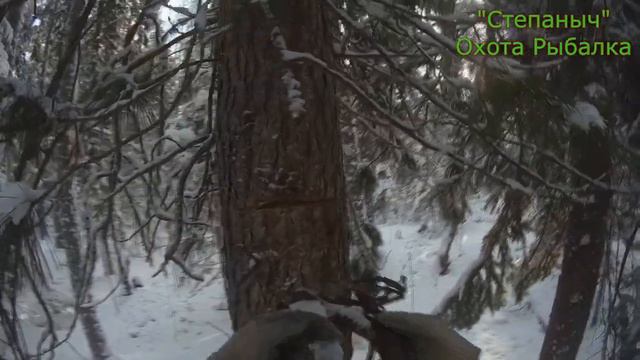 4 заезд (3 день) Малый круг Белки 10 11 19 смотреть онлайн