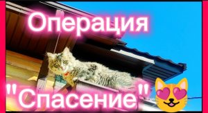 Операция «спасение» 😊