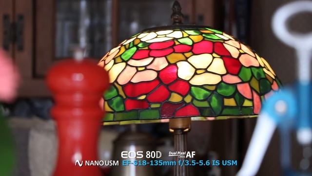 Canon EOS 80D- Dual Pixel CMOS AF смотреть онлайн