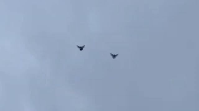 [3.ч.] " ПОЛЁТЫ ГОЛУБЕЙ - НОВИКОВА АЛЕКСАНДРА. 2021.г. смотреть онлайн