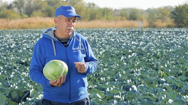 ЛЕКСИКОН F1 | Овощная усадьба смотреть онлайн