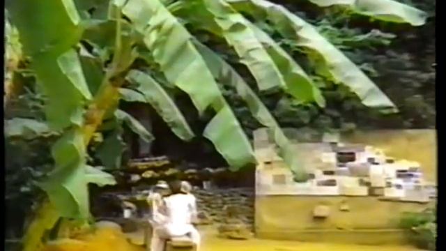 Явления Девы Марии в ХХ веке (часть V). смотреть онлайн