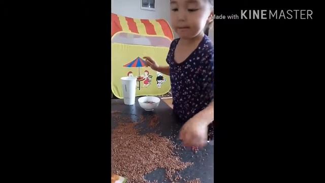 Гречневый суп своми руками. Finger Family. Johny Johny Yes Papa.