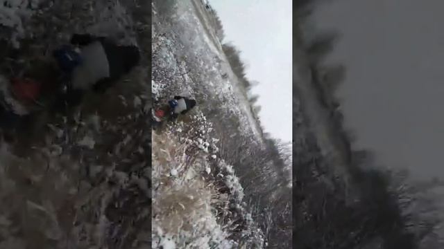 Мухтар 7 по бурелому