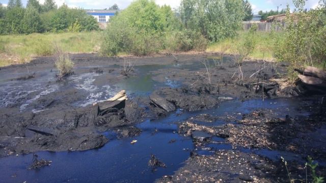 Речка говнотечка смотреть онлайн