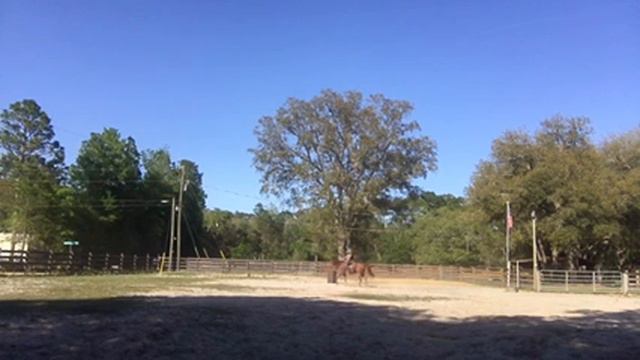 Nova 4-18-17 смотреть онлайн