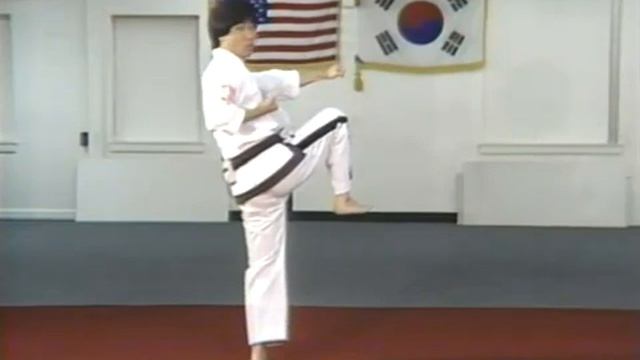 Volume 10, Part 1 Achieving Perfect Tae Kwon Do Excellence смотреть онлайн