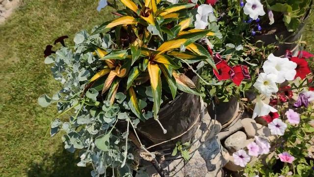 Для создания уникальной клумбы много места не понадобится. смотреть онлайн