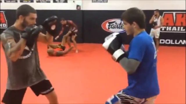 #4 Турнир на корабле, работа по лапам