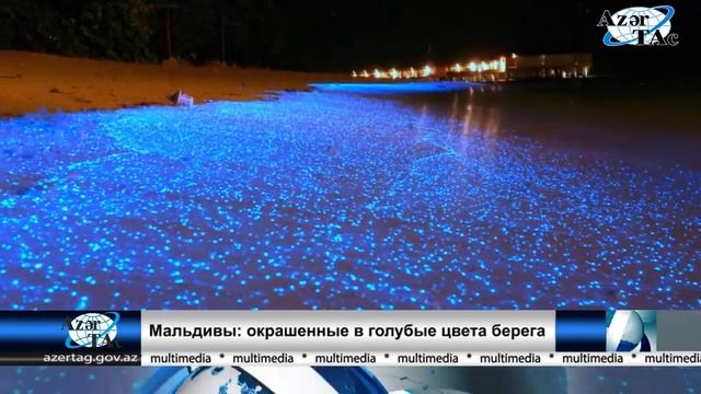 Мальдивы окрашенные в голубые цвета берега смотреть онлайн